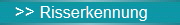 >> Risserkennung