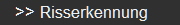 >> Risserkennung